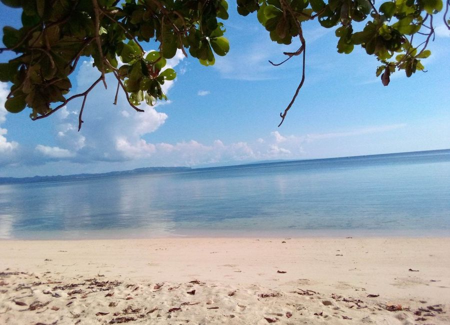 The Marvelous Beach & Farmland for Sale Ferrol, Tablas Island, Romblon, Philippines