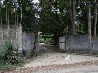 Tanay Rizal Farm for Sale