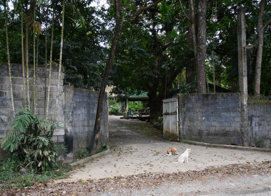 Tanay Rizal Farm for Sale