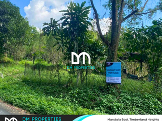 For Sale: Vacant Lot in Mandala East, Timberland Heights, San Mateo, Rizal