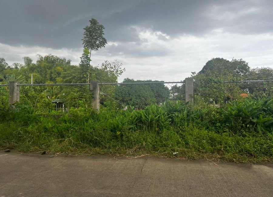 RESIDENTIAL LOT FOR SALE IN DUMAGUETE CITY ID 15104
