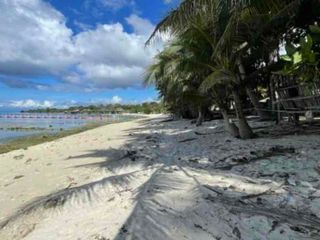Pristine Beach Land in SIquijor for sale