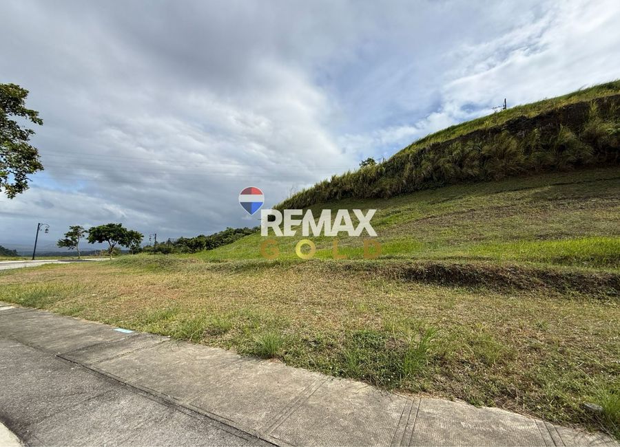 For Sale: 250 SQM Vacant Residential Lot in Twin Lakes Tagaytay - Domaine Le Jardin