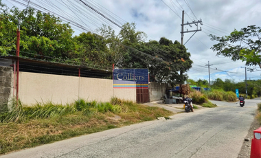 Property for Sale in Carmona, Cavite, near San Lazaro Leisure Park