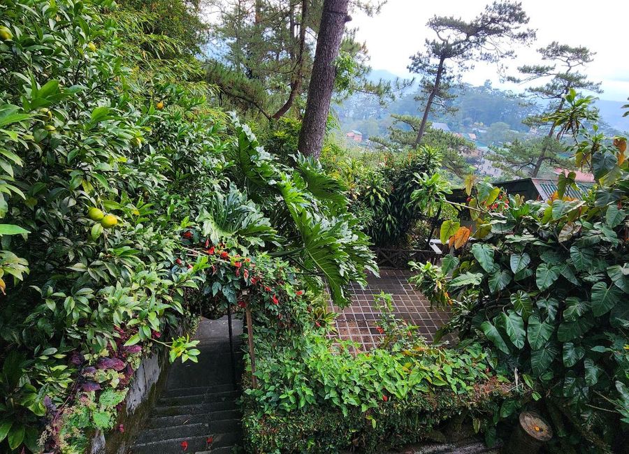 3,000 sqm Commercial Lot for Sale in Baguio City!