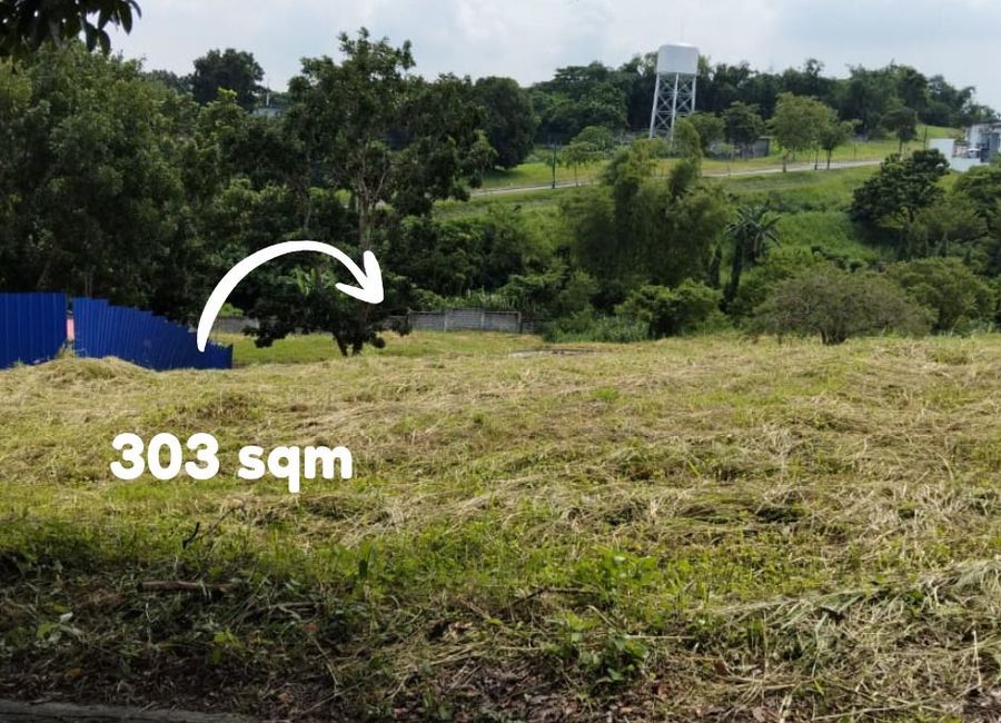 PRIME Residential Lots in Southwoods | ₱28K/sqm | Build Your Dream Home