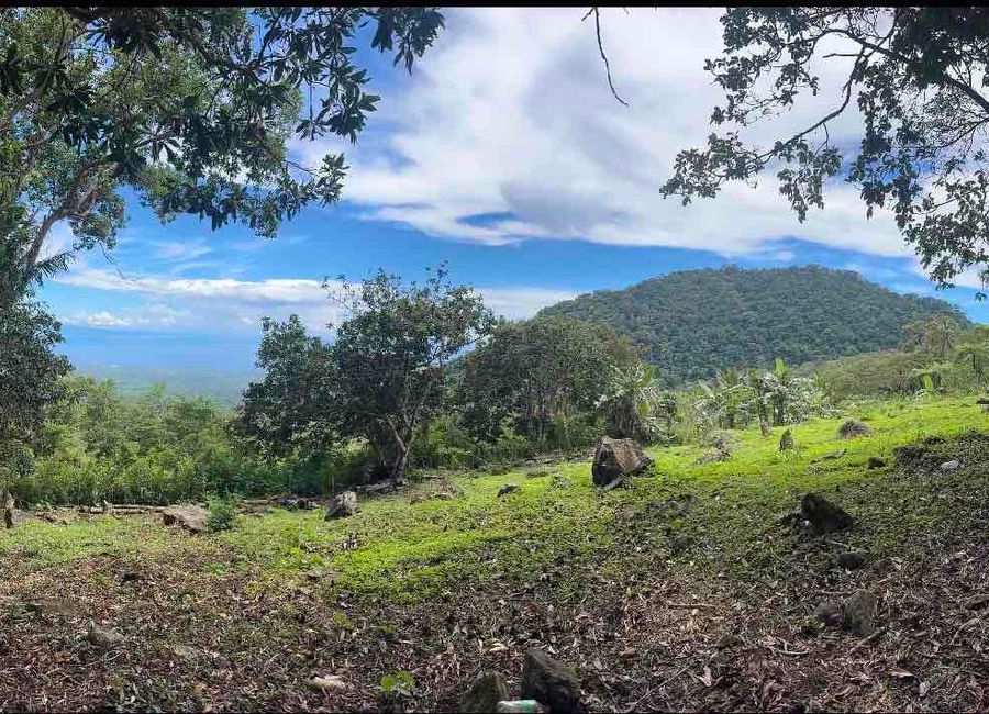 residential lot for sale in Dauin, Negros Oriental