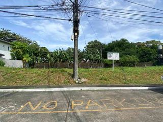 For Sale: 350sqm Vacant Lot in Tierra Nueva Subdivision, Muntinlupa City
