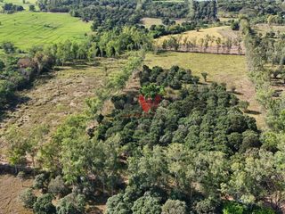 5.4 HECTARE FARM FOR SALE – PALAYAN CITY