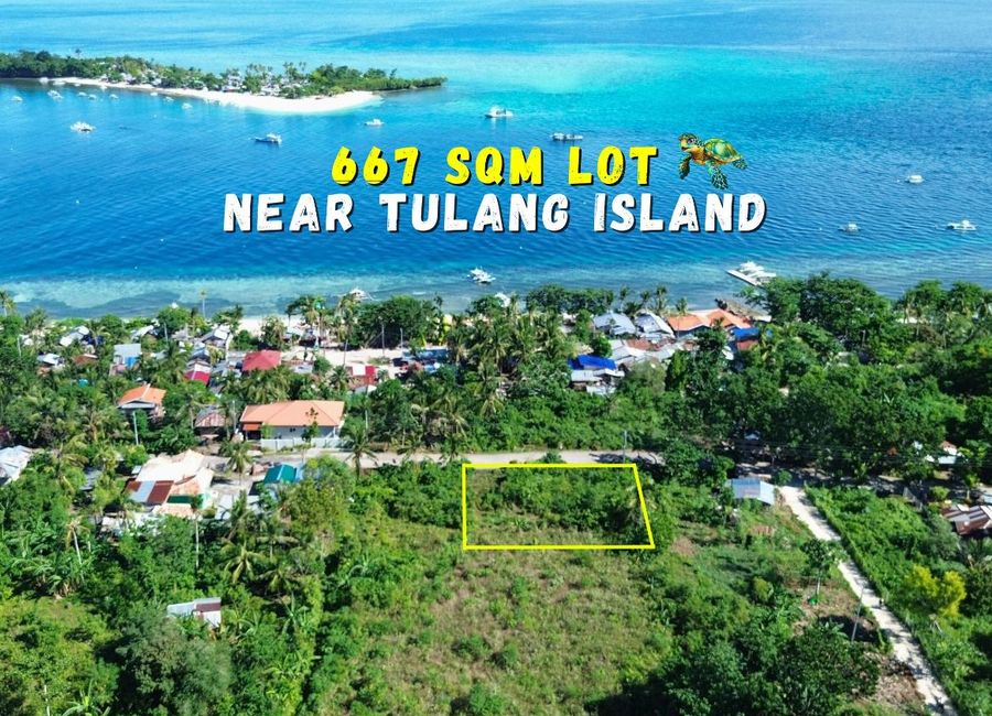 Affordable 667 sqm Lot for Sale Along the Road