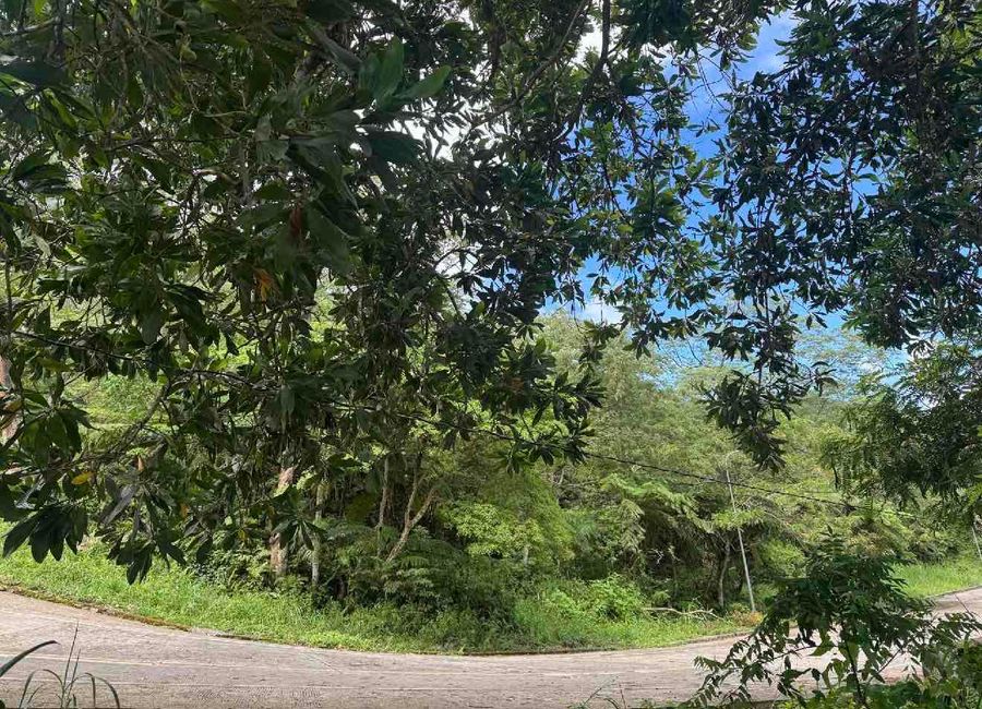 residential lot for sale in Dauin, Negros Oriental 940 m2