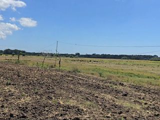 17,000sqm Agricultural Farm