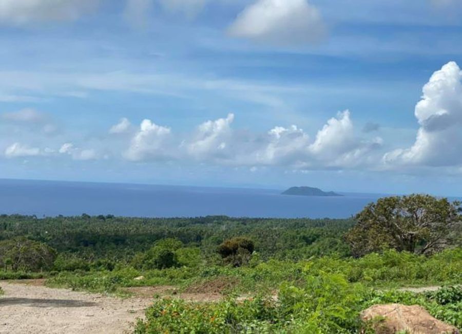 Dauin Ocean View Lots For Sale ID 14638