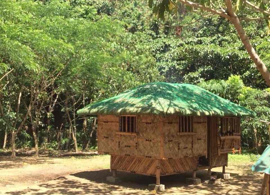 TANAUAN FARM LOT 1 HECTARE