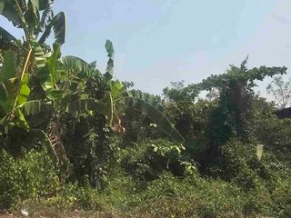 Commercial Lot for Sale in Pandi Bulacan