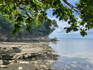 EXCLUSIVE BEACHFRONT LISTING | Vacant Property Lot for Sale in Padre Burgos, Quezon Province