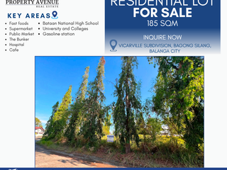 LOT FOR SALE (LOT 11 ) - VICARVILLE SUBD. BAGONG SILANG