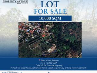LOT FOR SALE – Sibul Orani, Bataan