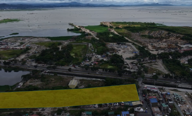 14,323 sqm Commercial Lot for Sale — C6 Road, Calzada–Tipas, Taguig City