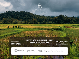 For Sale  Mixed Agricultural, Residential & Commercial at Quezon Province Along National highway, Barangay Tinamnan, Southwest side of Lucban, Quezon