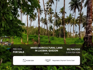 For Sale  Mixed Agricultural, Residential & Commercial at Quezon Province Along National highway, Barangay Kulapi, Sindico Spring