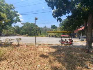 Fairway view Subdivision salawag Dasmarinas lot for sale beside Gaurd house