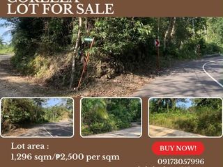 CORELLA LOT FOR SALE – 1,296 sam/2,500 per sqm : HIGHWAY FIRST LOT