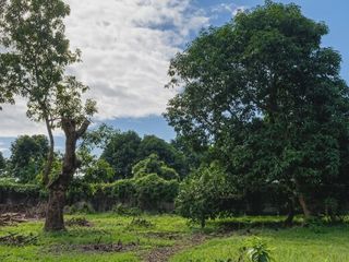 2 Storey H&L 5 bedrooms with fruit bearing trees for Sale in Pulilan Bulacan