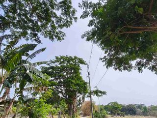 Lot For Sale in Tiaong Quezon Installment