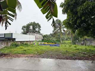 RESIDENTIAL LOT FOR SALE IN AMADEO, CAVITE