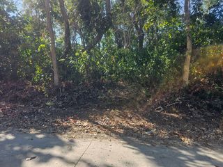 4,090 SQM Overlooking Lot for Sale — Near Beaches Highway & Cabantian Hills, Guindulman, Bohol