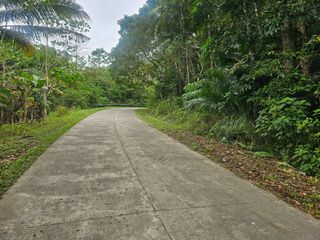3.7 Hectares Rolling Land full of assorted trees for Sale – Sagbayan, Bohol