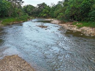 4.9 Hectares Clean Title Riverfront Land for Sale – Dagohoy, Bohol