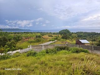 Overlooking lot seaview for sale in Cabantian Hills Guindulman Bohol 300/sqm negotiable
