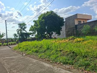 Corner Lot For Sale in San Francisco Village 1 Pacol, Naga City - Camarines Sur