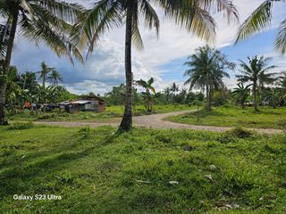 2,500 SQM Clean Title Lot for Sale in Trinidad, Bohol