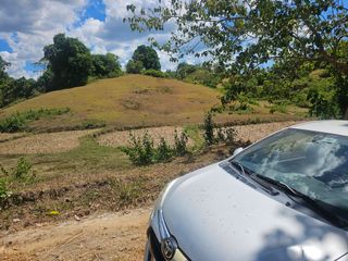 39,000 SQM Titled Riverfront Property for Sale – Buenavista, Bohol