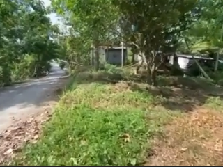 FOR SALE: Hilltop Lot with Batangas Bay View – Mabini, Batangas