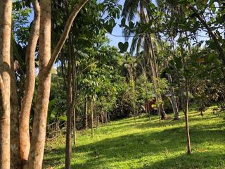 Farm Lot For Sale Silangang Mayao Lucena near TR4 Road South Express Way