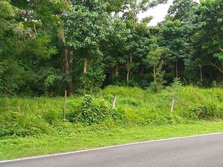 Lot For Sale along Main Road Andaya Highway Del Gallego Camarines Sur Bicol