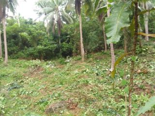 Farm Lot For Sale at Del Gallego Camarines Sur Bicol