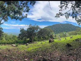 residential lot for sale Bidjao, Dauin, Negros Oriental