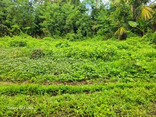 5,370 sqm Clean Title Lot for Sale – Tubigon, Bohol