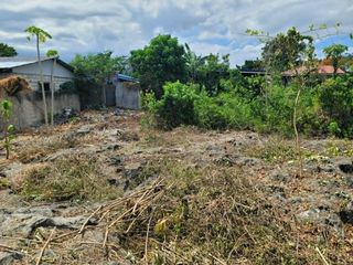 Residential Lot for Sale in Cordova , Cebu ,Philippines