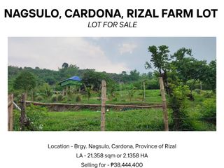Farm Lot for Sale at Cardona, Rizal Province