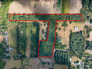 Income-Generating Mango Farm in Botolan, Zambales For Sale