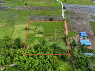 Your Dream Farm Awaits in Candelaria, Zambales!
