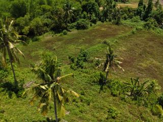 6,000+ SQM RIVERFRONT FARM LOT FOR SALE – M. Roxas, Trinidad, Bohol