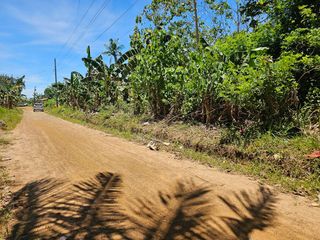 4,500 SQM TITLED LOT FOR SALE – Along the Road, M. Roxas, Trinidad, Bohol