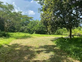 FOR SALE: FARM LOT IN LIPA — READY FOR ORCHARD LIVING 🌿